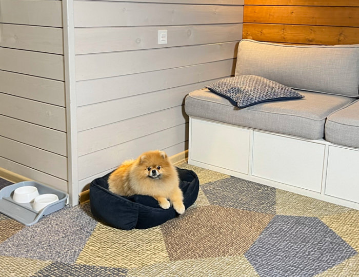 Pet таунхаус «Familia» - Отель LES Art Resort / Лес Арт Резорт